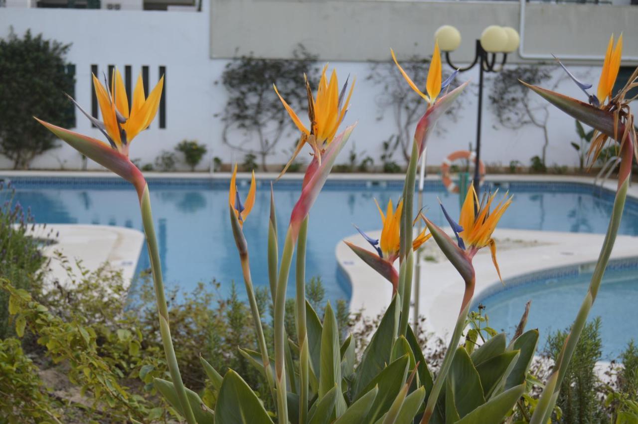 Apartamento Proximo Da Marina Vilamoura C/Piscina E Estacionamento Zewnętrze zdjęcie